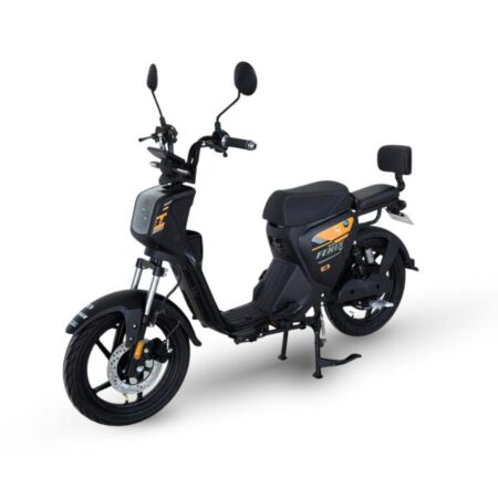 MOTO FENIX E-WICH